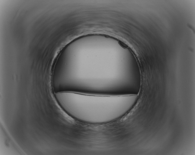 X0000093581525200710150947