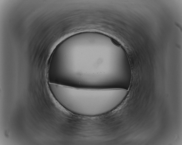 X0000093581526200710150947