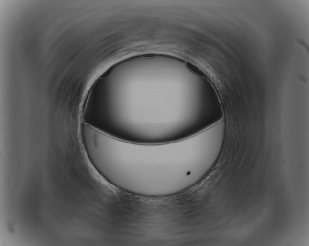 X0000093581528200710150947