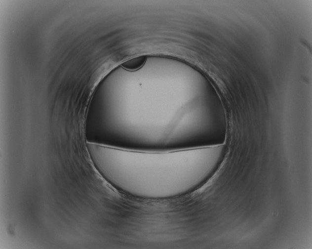 X0000093581529200710150947
