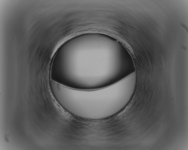 X0000093581530200710150947