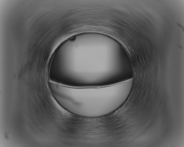 X0000093581531200710150947