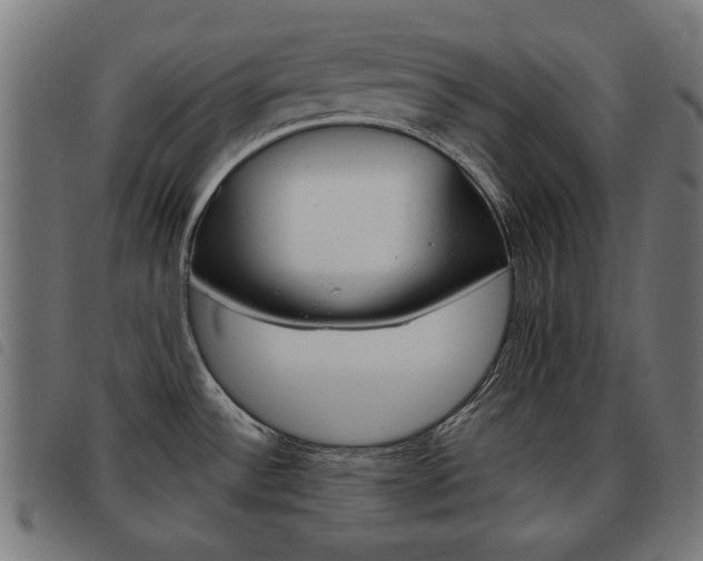 X0000093581532200710150947