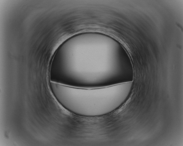 X0000093581533200710150947