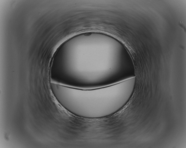 X0000093581534200710150947