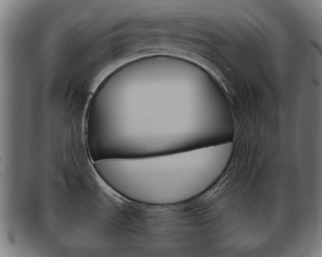 X0000093581535200710150947