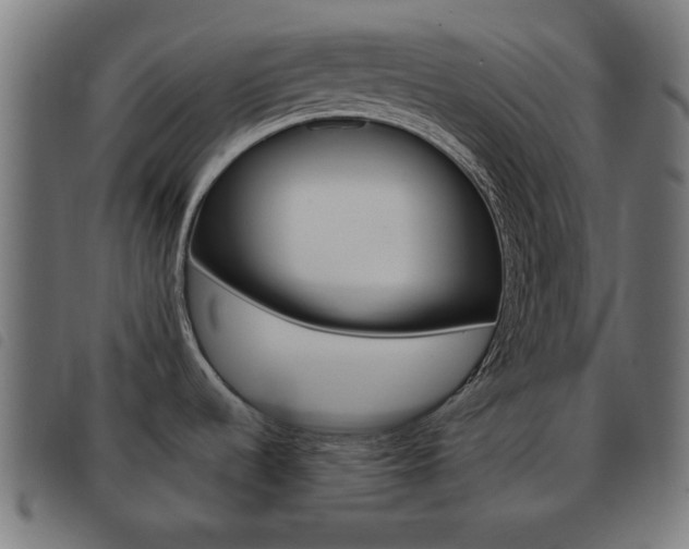 X0000093581536200710150947
