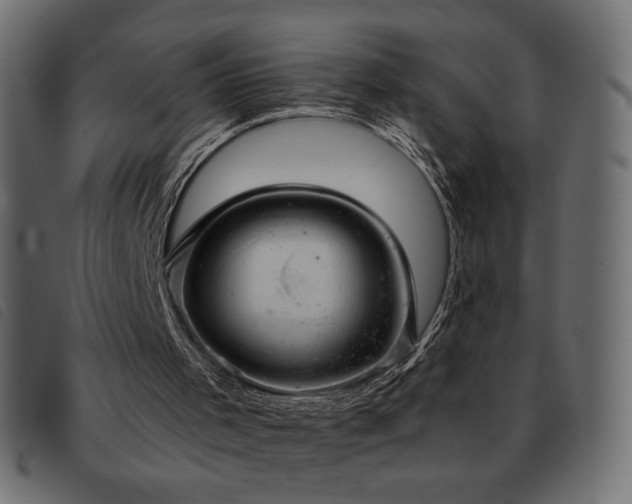 X0000093580001200710151154