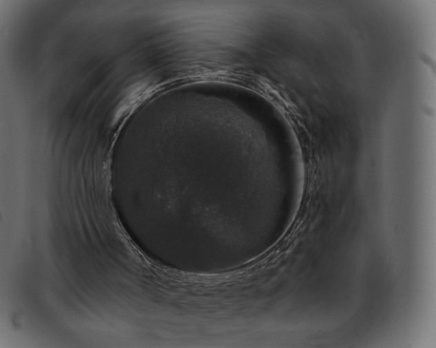 X0000093580002200710151154