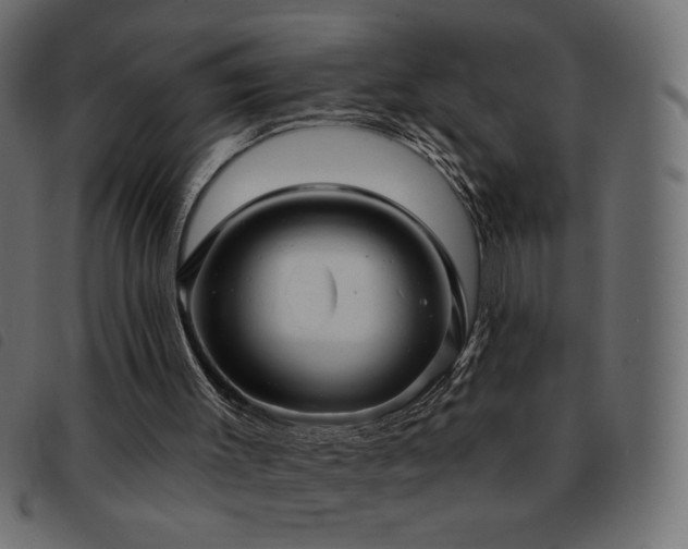 X0000093580003200710151154