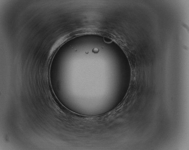 X0000093580004200710151154