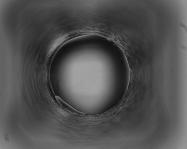 X0000093580005200710151154