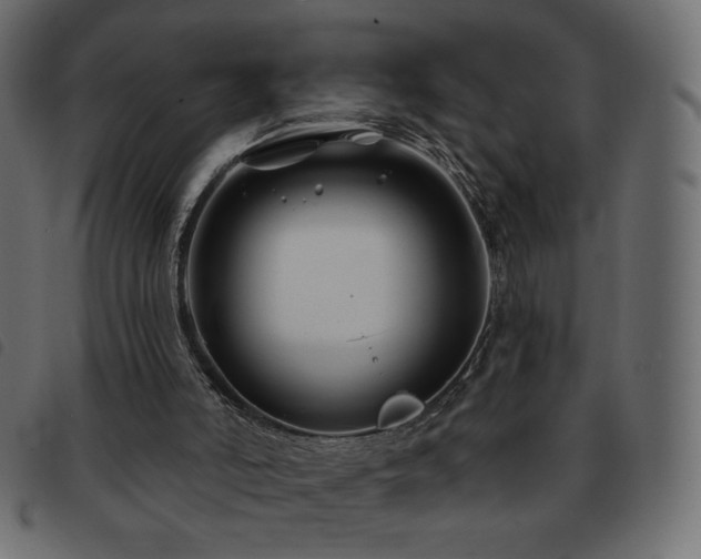 X0000093580006200710151154