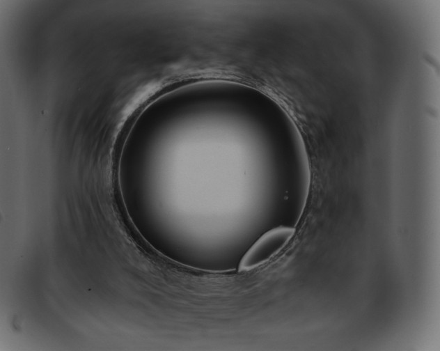 X0000093580008200710151153