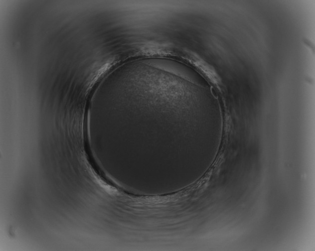 X0000093580009200710151153