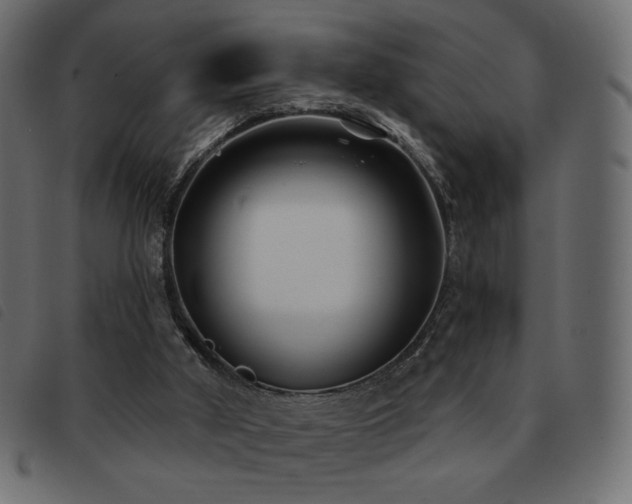 X0000093580010200710151153