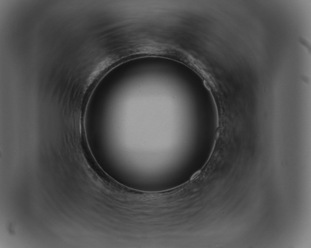 X0000093580011200710151153
