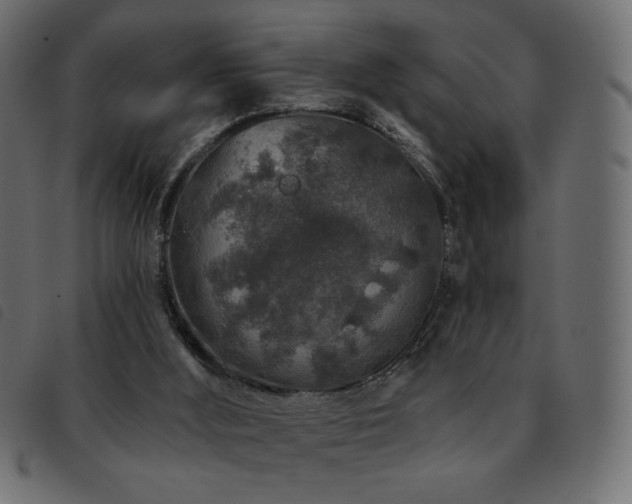 X0000093580012200710151153