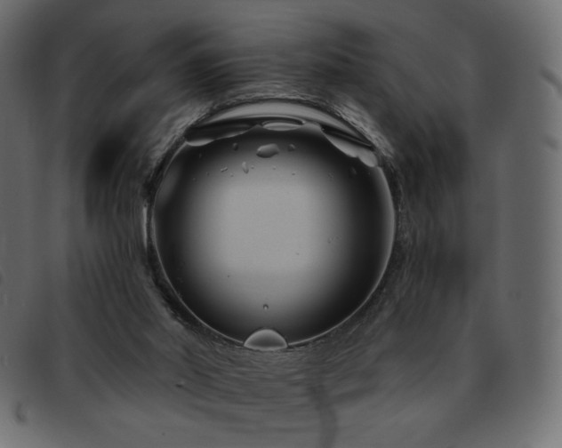 X0000093580014200710151153