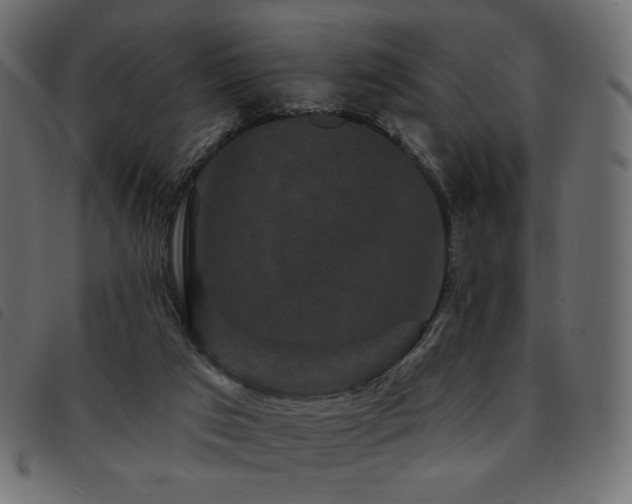 X0000093580017200710151153