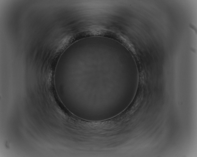 X0000093580018200710151153