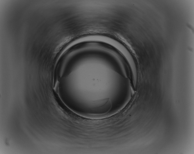 X0000093580019200710151153