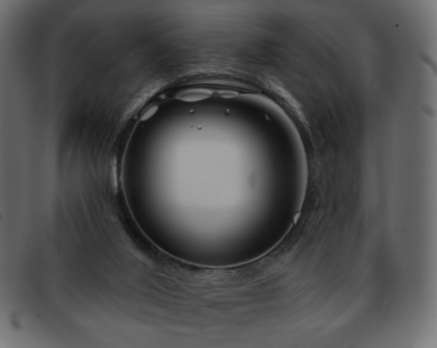 X0000093580020200710151153