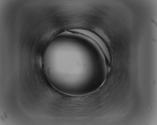 X0000093580021200710151153