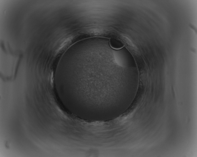 X0000093580024200710151153