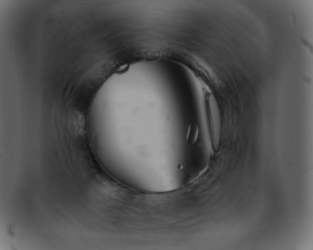 X0000093580025200710151153