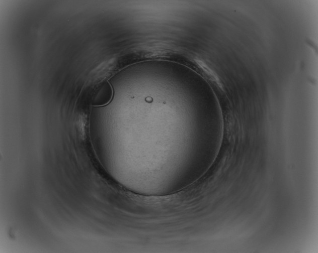 X0000093580026200710151153