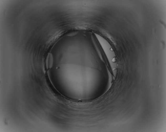 X0000093580027200710151153