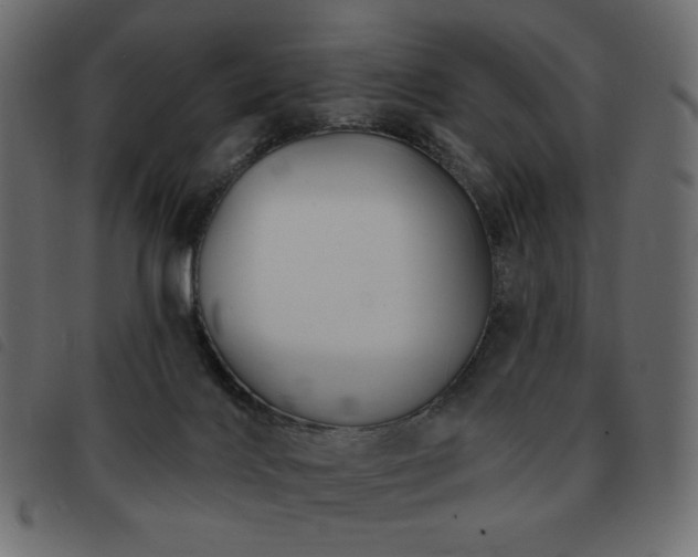 X0000093580028200710151153