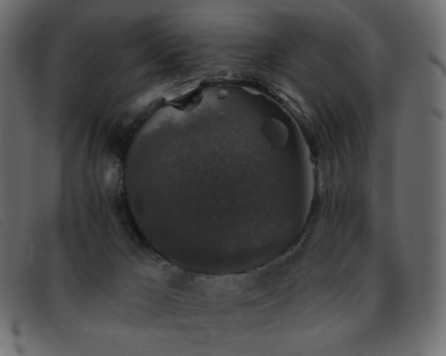 X0000093580029200710151153