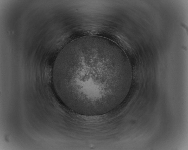 X0000093580030200710151153