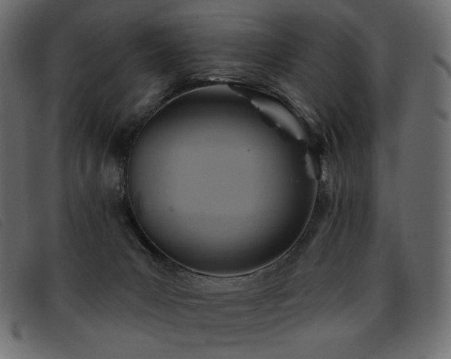 X0000093580031200710151153