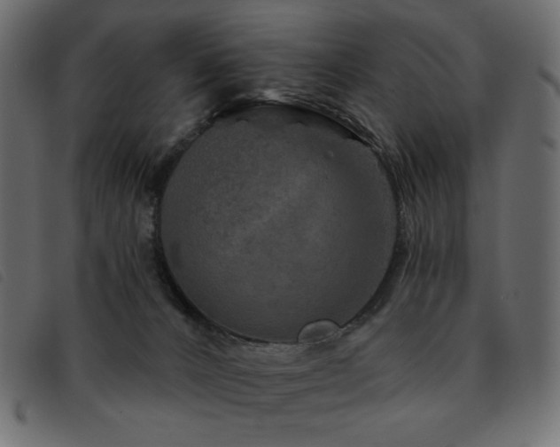 X0000093580032200710151153