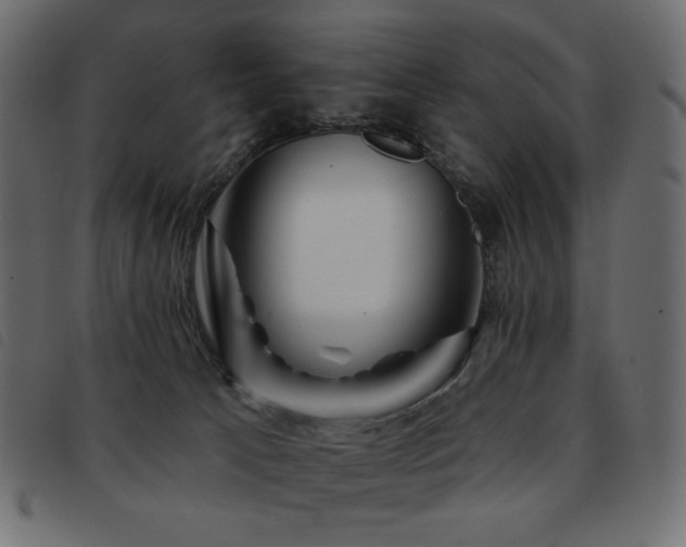 X0000093580033200710151153