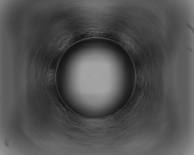X0000093580034200710151153