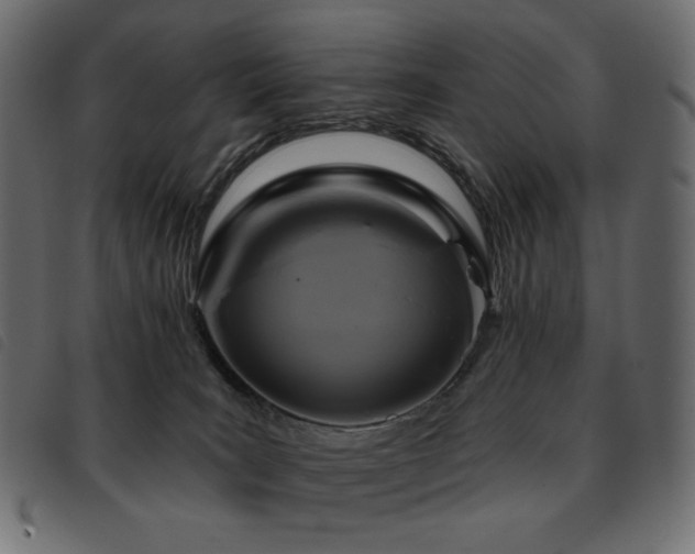 X0000093580035200710151153