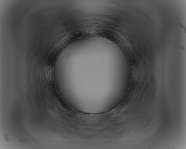 X0000093580036200710151153