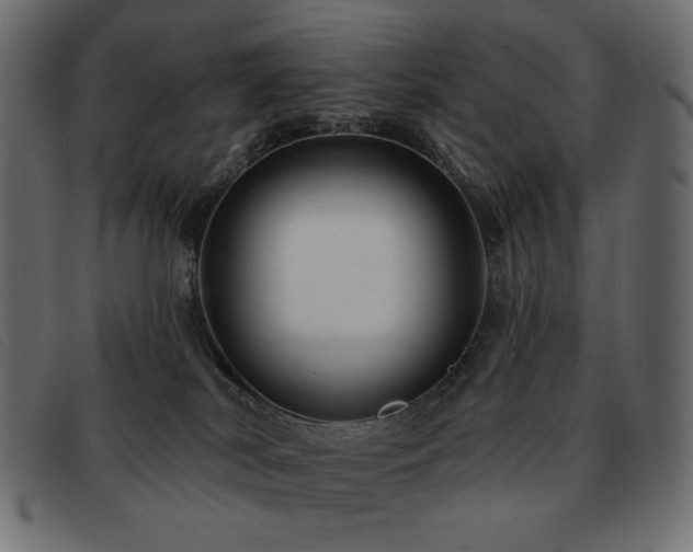X0000093580038200710151153