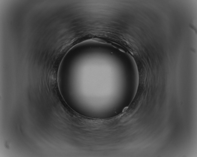 X0000093580040200710151153