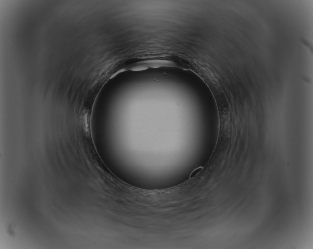 X0000093580042200710151153