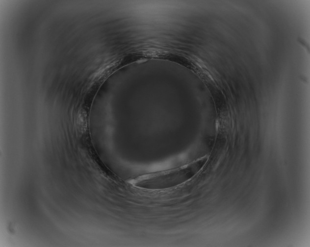 X0000093580043200710151153