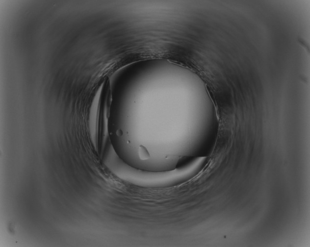 X0000093580045200710151153