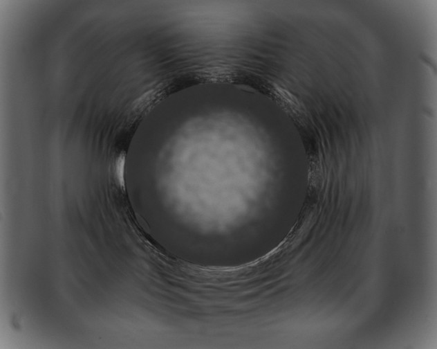 X0000093580047200710151153