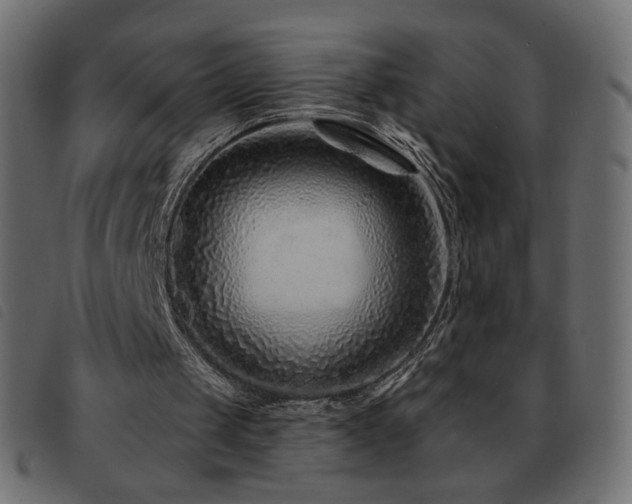 X0000093580049200710151152