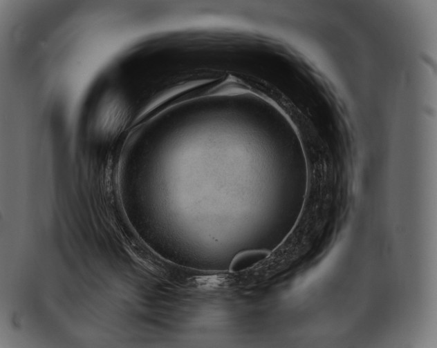 X0000093580050200710151152