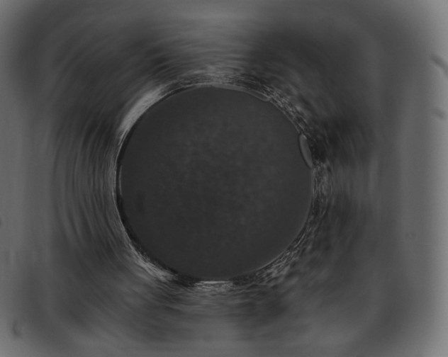 X0000093580051200710151152